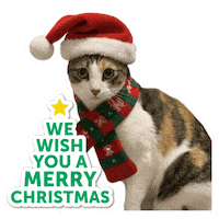 We Wish You A Merry Christmas Sticker