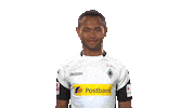 hear borussia moenchengladbach Sticker by Bundesliga