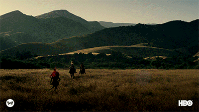 season 2 ad GIF by Westworld HBO