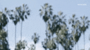 viceland GIF by BEERLAND
