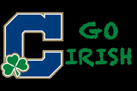 Cathedral High School GIF by cathedralirish