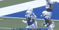 Regular Season Football GIF by NFL