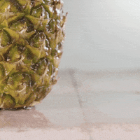 Move Moving GIF by TWO MEN AND A TRUCK®