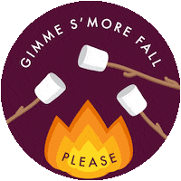 Camping Camp Fire Sticker by The Happy Planner