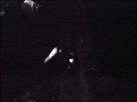black and white vhs GIF by Charles Pieper