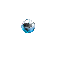 Football Soccer Sticker by Bundesliga
