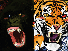 Abidoe angry gym animal motivation GIF