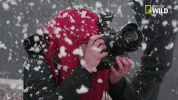 doggie winter wonderland pupparazzi GIF by Nat Geo Wild