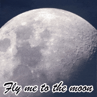 Moon Landing Houston GIF by TeaCosyFolk