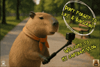 Camera Hello GIF