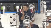 Regular Season Football GIF by NFL