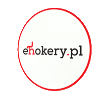 eHokery mikołaj gockowiak meble loftowe ehokery Sticker
