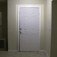 Bust Down Big Bird GIF