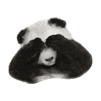 sleepy panda STICKER by imoji