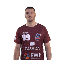 Bundesliga Handball Sticker by 1. VFL Potsdam