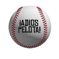 Home Run Baseball Sticker by Cannadips