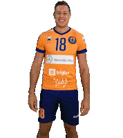 achvolleyljubljana slovenia tivoli cev ach Sticker