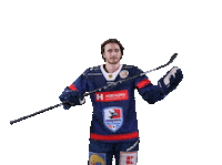 Tor Heilbronn Sticker by Heilbronner Falken