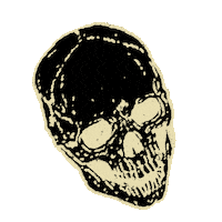 Fashion Chatting Sticker by ARIES