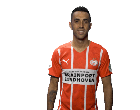 Football Celebrate Sticker by PSV