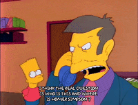 Season 2 GIF by The Simpsons