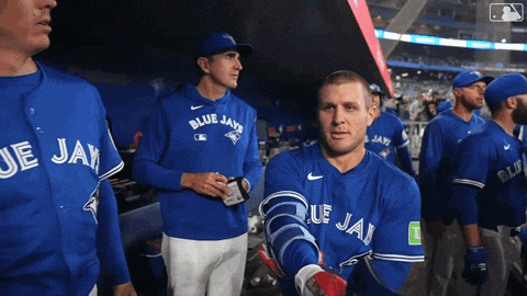 Blue Jays Smile GIF by Toronto Blue Jays