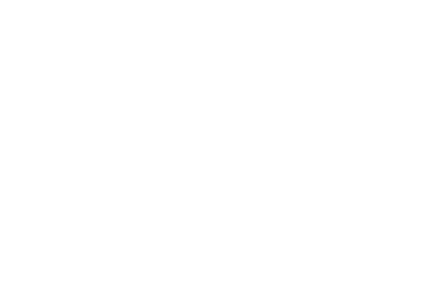 blusystems giphyupload itcompany itsecurity dataprivacy Sticker