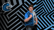 Rocket League Yes GIF by BS+COMPETITION