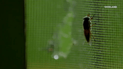 viceland GIF by Kentucky Ayahuasca