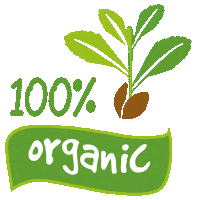 Eat Healthy Sugar Free Sticker by Sweet & Sprouted