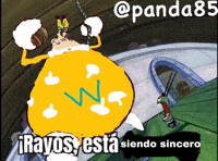 Bonito Sincero GIF
