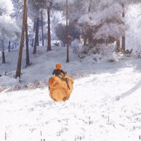 Lets Go GIF by Gameforge