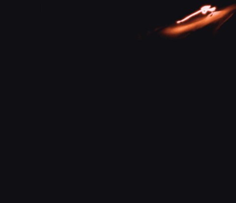nicovuignier giphyupload GIF