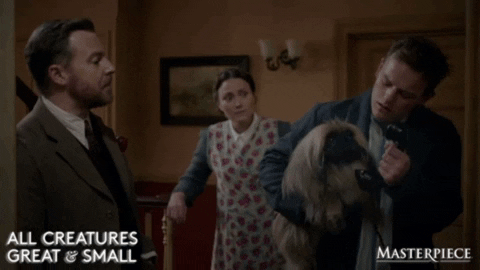 Dog Speaking GIF by MASTERPIECE | PBS