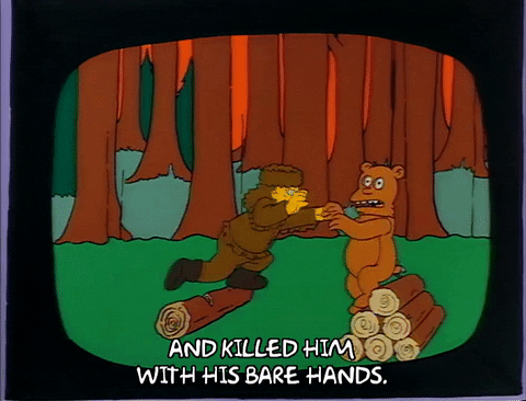 Season 1 GIF by The Simpsons