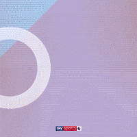 Goal Epl GIF by skysports