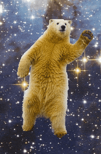 Polar Bear Dance GIF