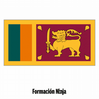 Sri Lanka Flag GIF by Formación Ninja