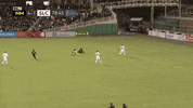 Winning Usl Championship GIF by New Mexico United