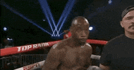 toprank fight boxing fighting fighters GIF