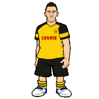 borussia dortmund football Sticker by Bundesliga