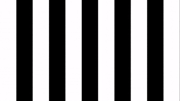 Football Soccer GIF by SK Sturm Graz