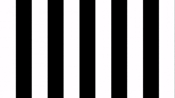 Celebration Goal GIF by SK Sturm Graz
