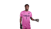 Wave Goalkeeper Sticker by Carson-Newman Athletics