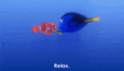 calm down ellen degeneres GIF