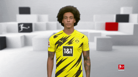 Posing Line Up GIF by Bundesliga