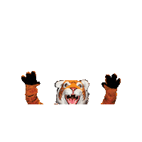 SuffieldAcademyTigers tigers gotigers suffield suffieldacademy Sticker