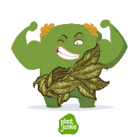 Vegan Veggie Sticker by Better Body Foods