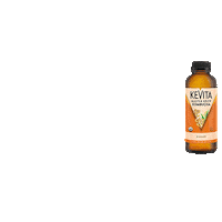 Kombucha Booches Sticker by KeVita Drinks