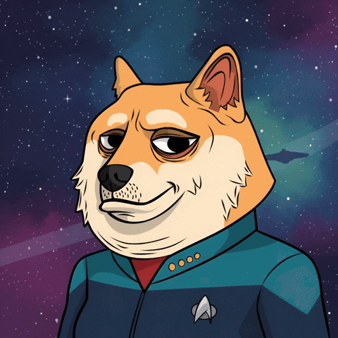 Star Trek Dog GIF by Doge Pound